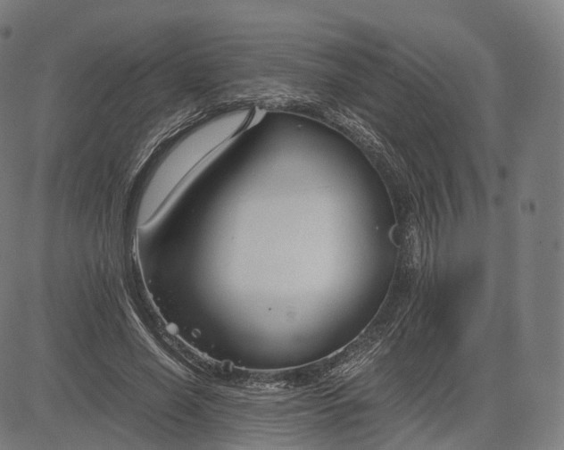 X0000084550638200703091720