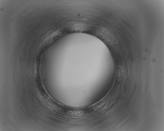 X0000084550639200703091720