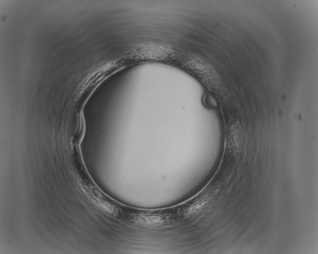 X0000084550640200703091720