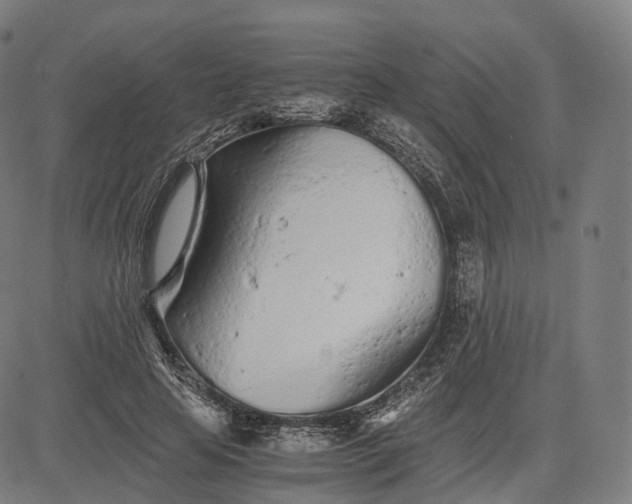 X0000084550641200703091720