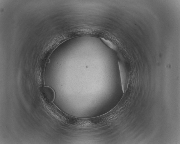 X0000084550642200703091720