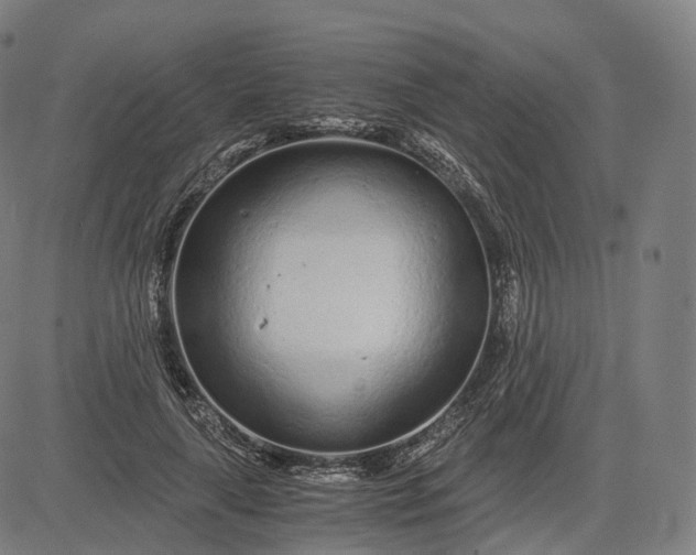 X0000084550643200703091720