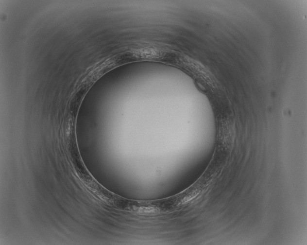 X0000084550645200703091720