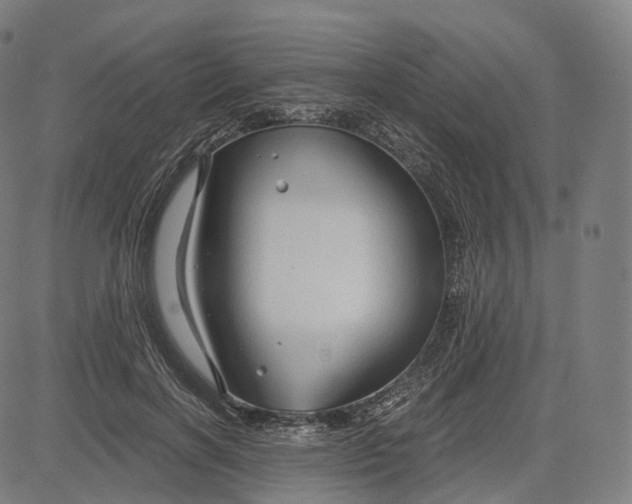 X0000084550646200703091720