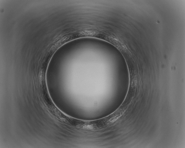 X0000084550647200703091720