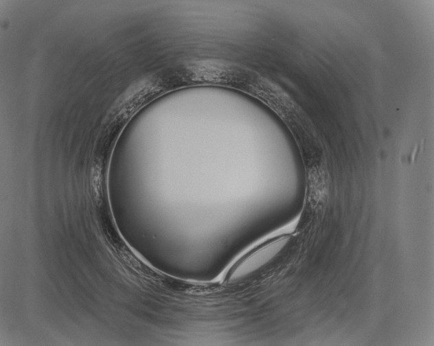 X0000084550648200703091720