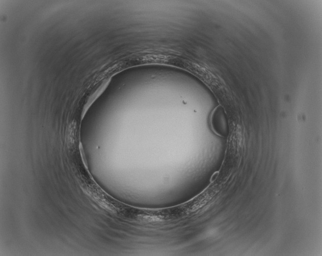 X0000084550649200703091720