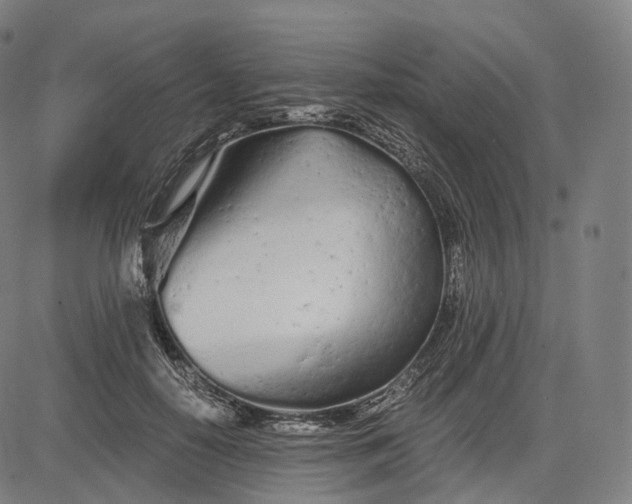 X0000084550650200703091720