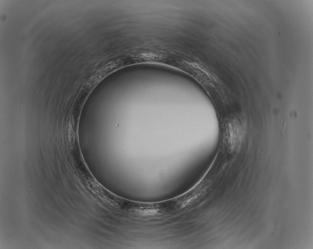 X0000084550651200703091720