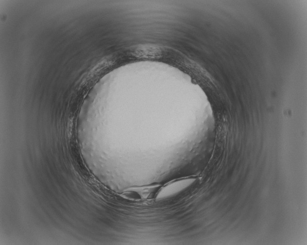 X0000084550652200703091720