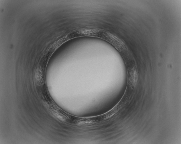 X0000084550653200703091720