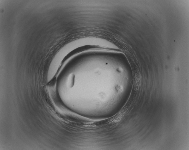 X0000084550654200703091720