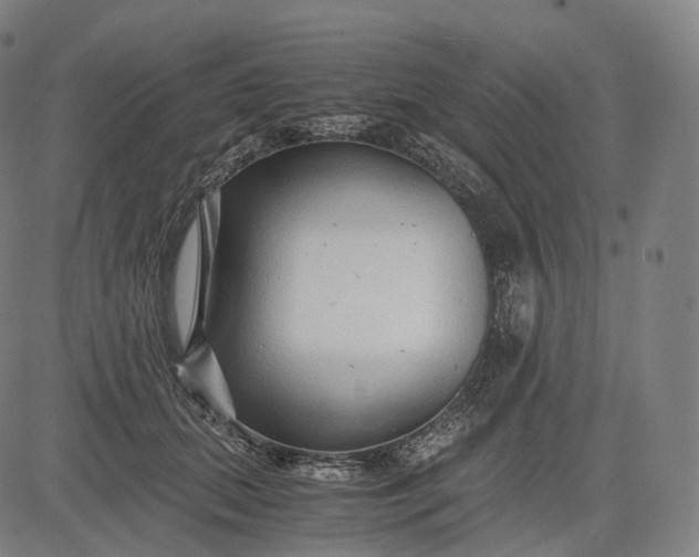 X0000084550655200703091721