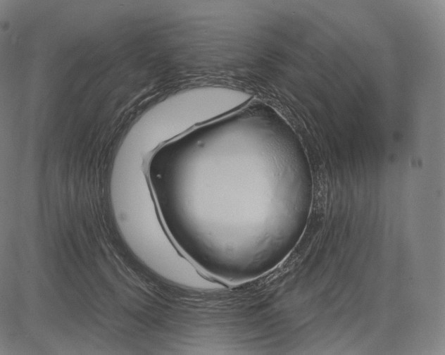 X0000084550656200703091721