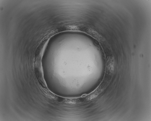 X0000084550658200703091721