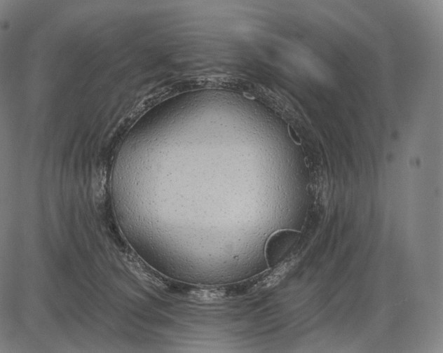 X0000084550660200703091721