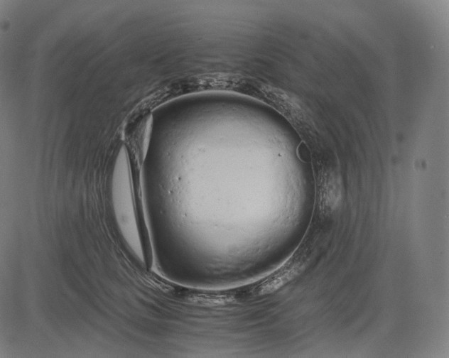 X0000084550661200703091721