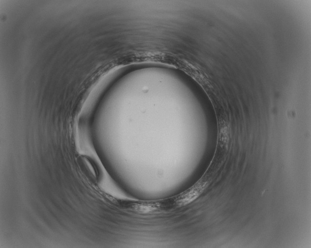 X0000084550662200703091721