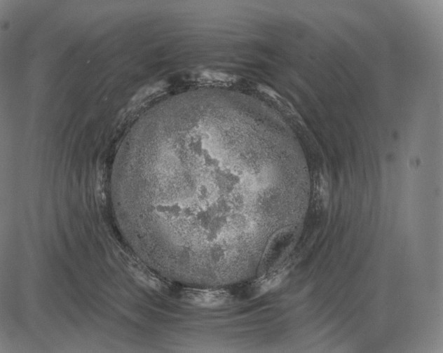 X0000084550663200703091721