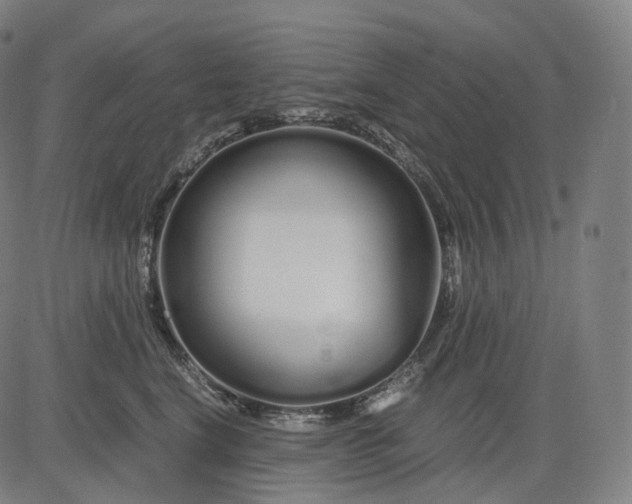 X0000084550664200703091721