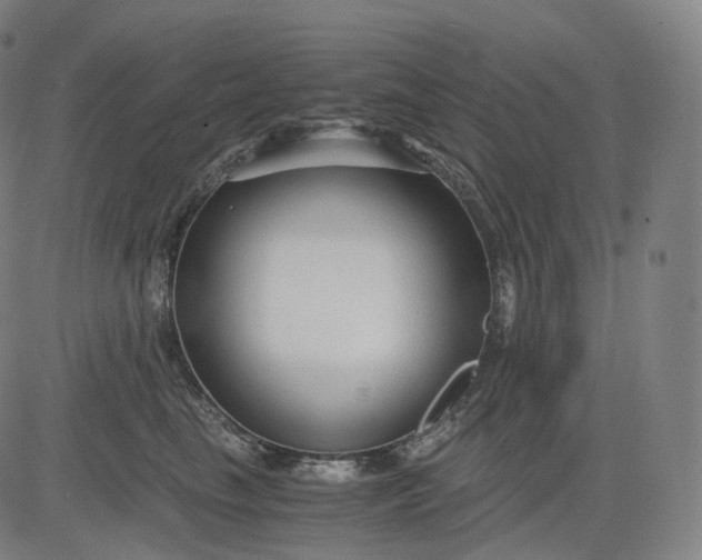 X0000084550665200703091721