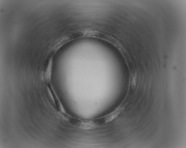 X0000084550666200703091721