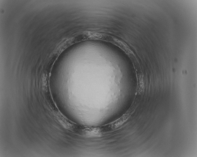 X0000084550667200703091721