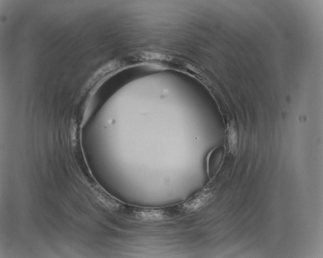 X0000084550668200703091721