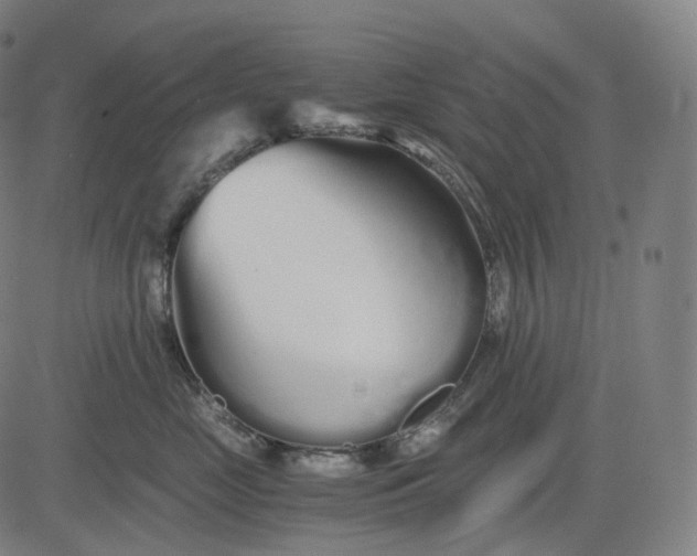 X0000084550669200703091721