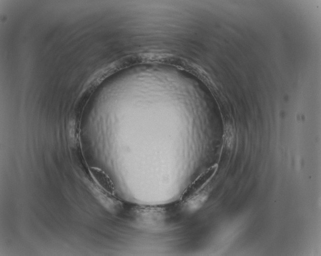 X0000084550670200703091721