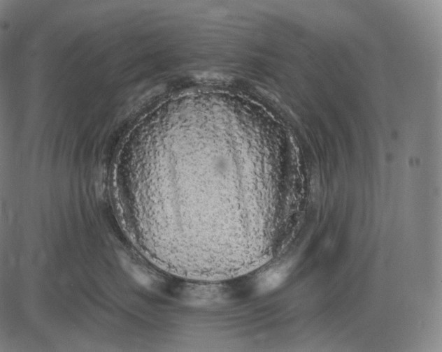 X0000084550671200703091721