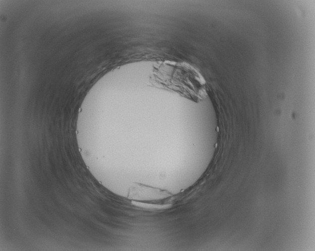 X0000084550672200703091721