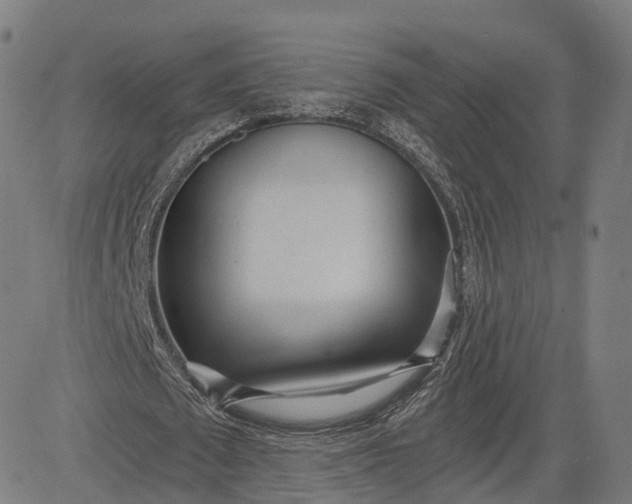 X0000084550673200703091720