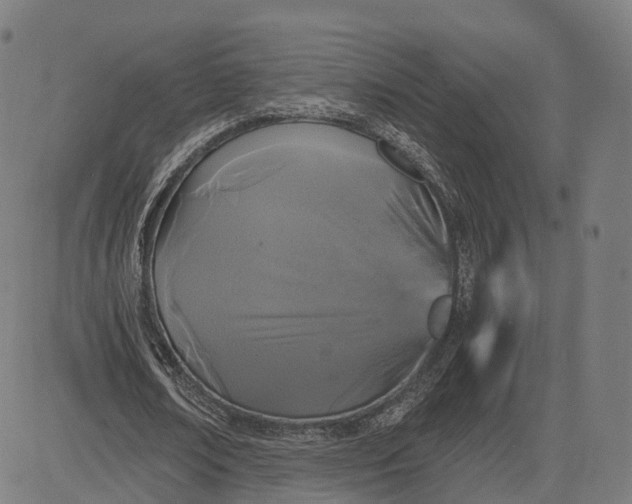 X0000084550674200703091720