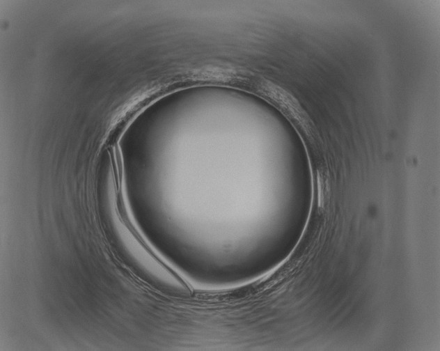 X0000084550675200703091720