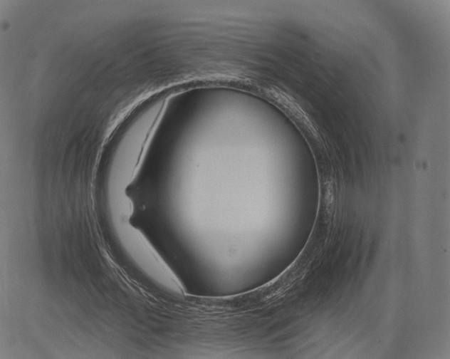 X0000084550676200703091720