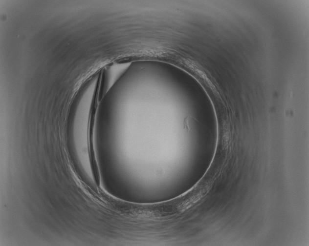 X0000084550677200703091720