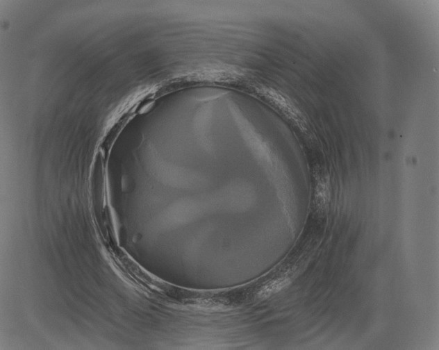 X0000084550678200703091720