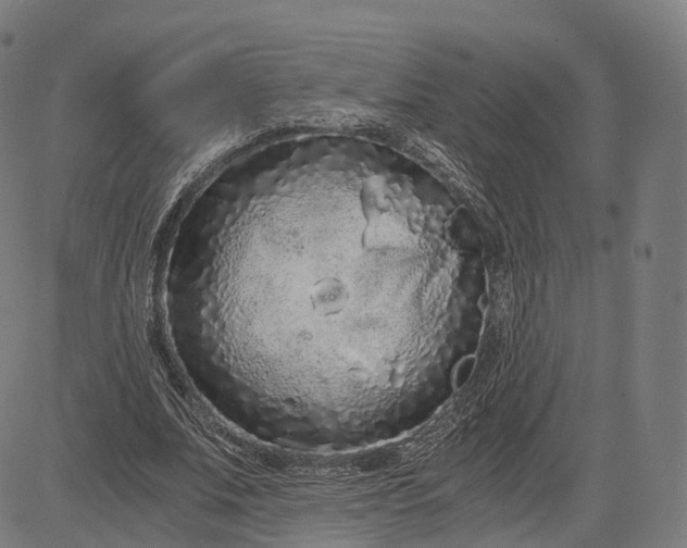 X0000084550679200703091720