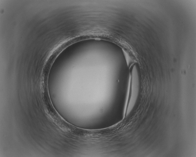 X0000084550680200703091720