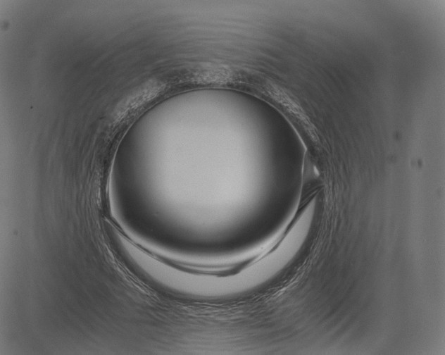 X0000084550681200703091720