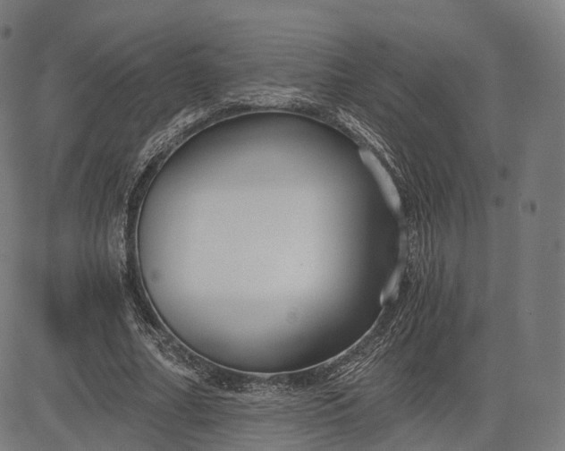 X0000084550682200703091720