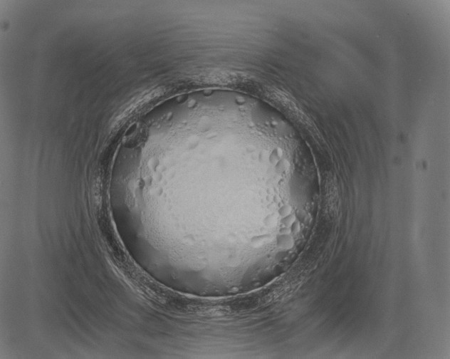 X0000084550683200703091720