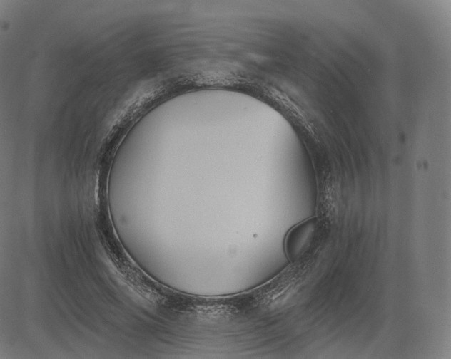 X0000084550686200703091720