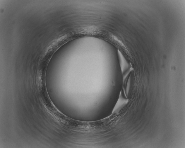 X0000084550688200703091720