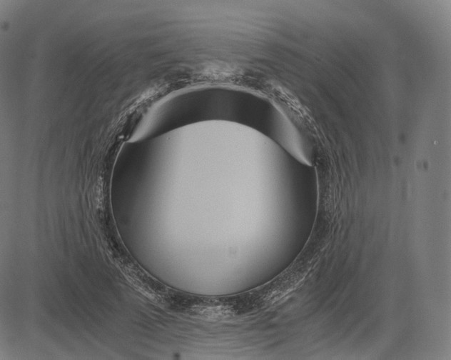 X0000084550689200703091720