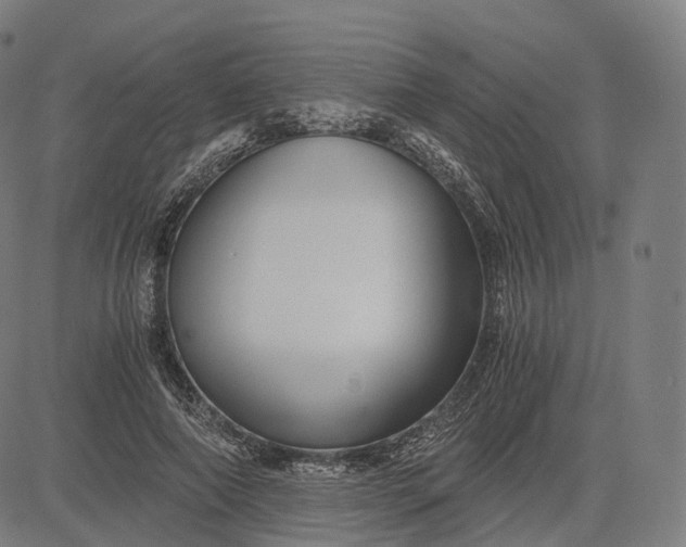 X0000084550690200703091720