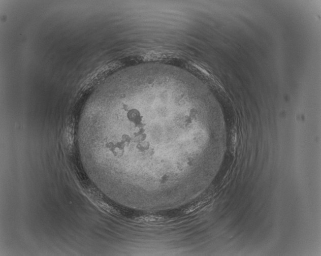 X0000084550691200703091720