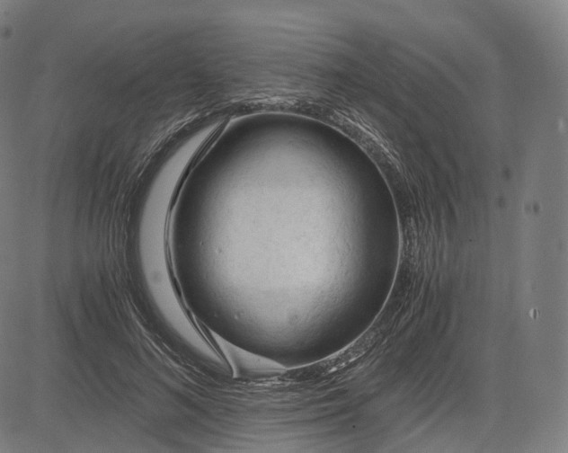 X0000084550692200703091720