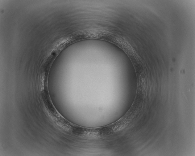 X0000084550694200703091720